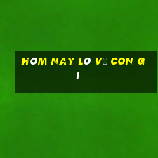 hôm nay lô về con gì