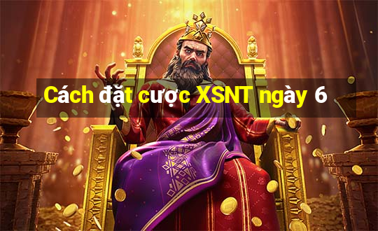 Cách đặt cược XSNT ngày 6