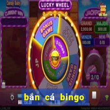 bắn cá bingo trực tuyến