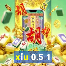 xỉu 0.5 1