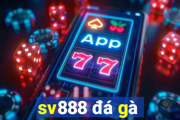 sv888 đá gà