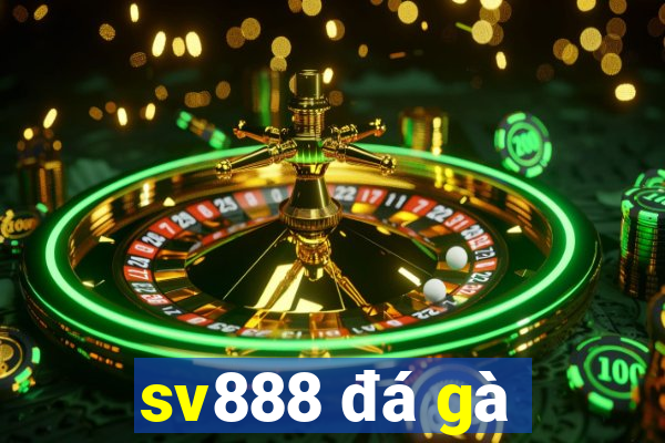 sv888 đá gà