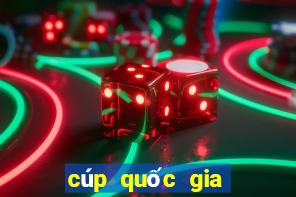 cúp quốc gia nam phi