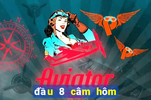 đầu 8 câm hôm sau đánh con gì