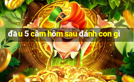 đầu 5 câm hôm sau đánh con gì