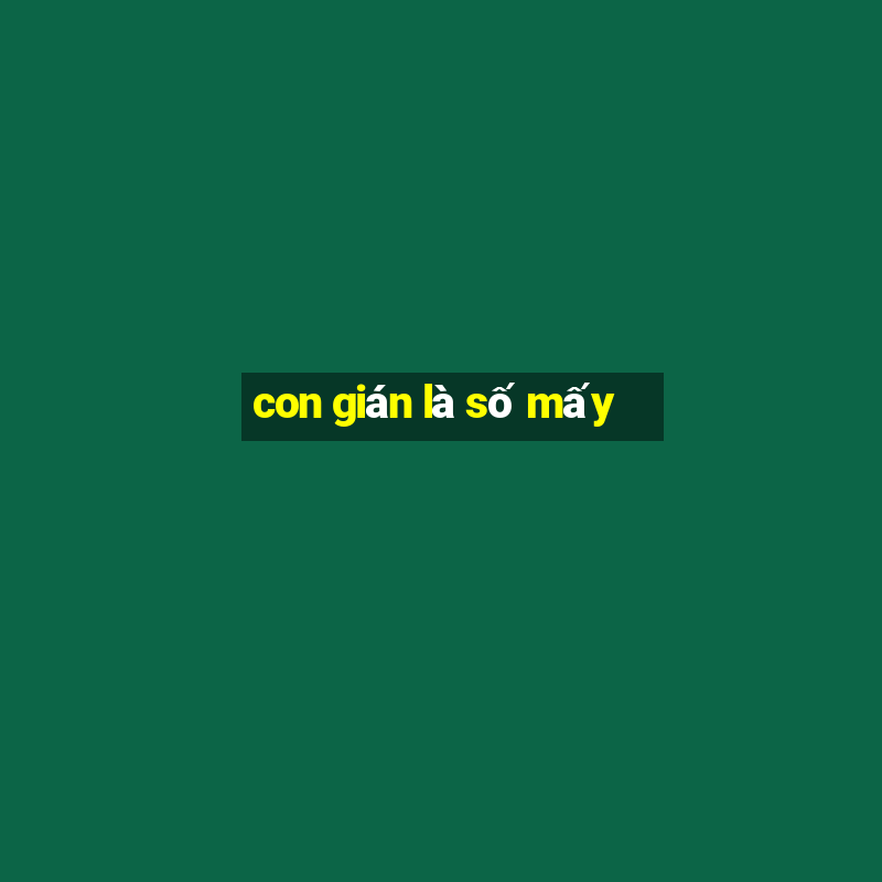 con gián là số mấy