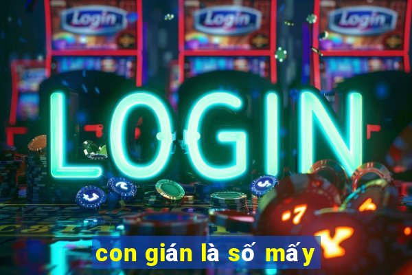 con gián là số mấy