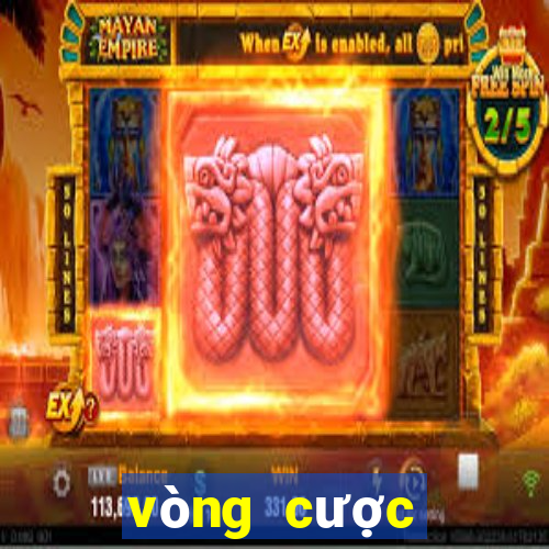 vòng cược khuyến mãi