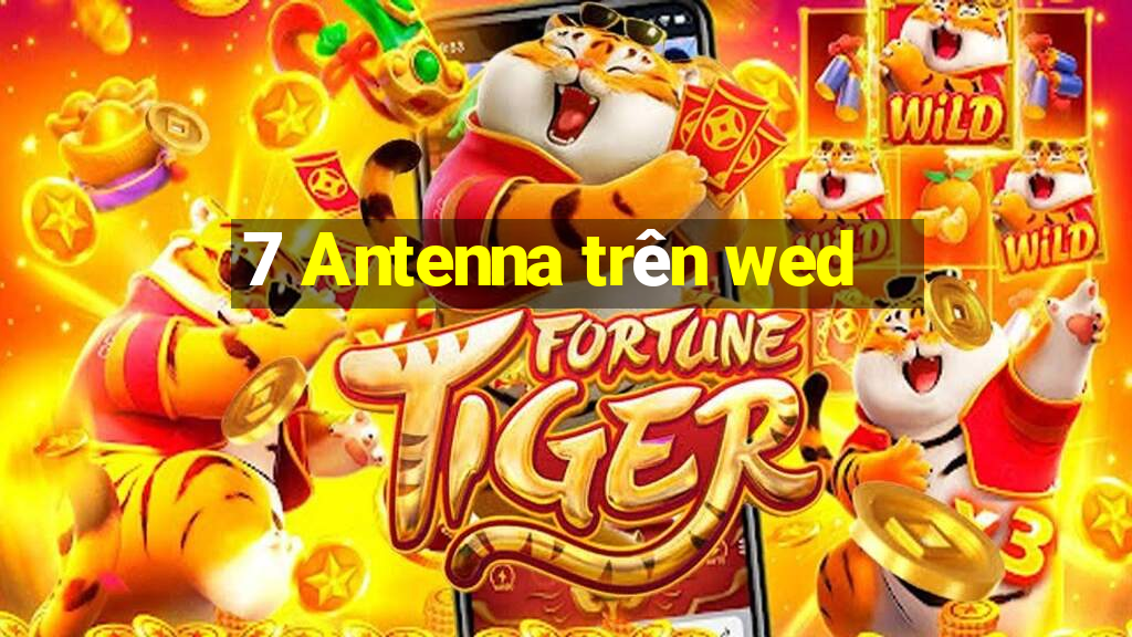 7 Antenna trên wed