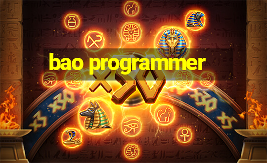 bao programmer