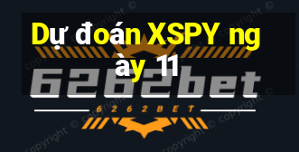 Dự đoán XSPY ngày 11