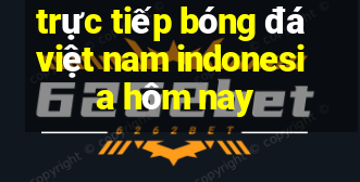 trực tiếp bóng đá việt nam indonesia hôm nay