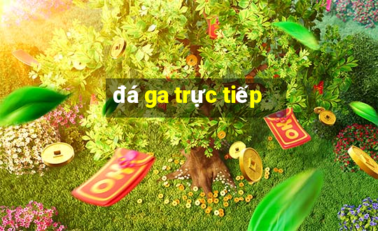 đá ga trực tiếp