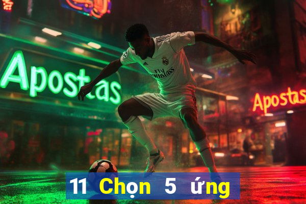 11 Chọn 5 ứng dụng Sơn Đông