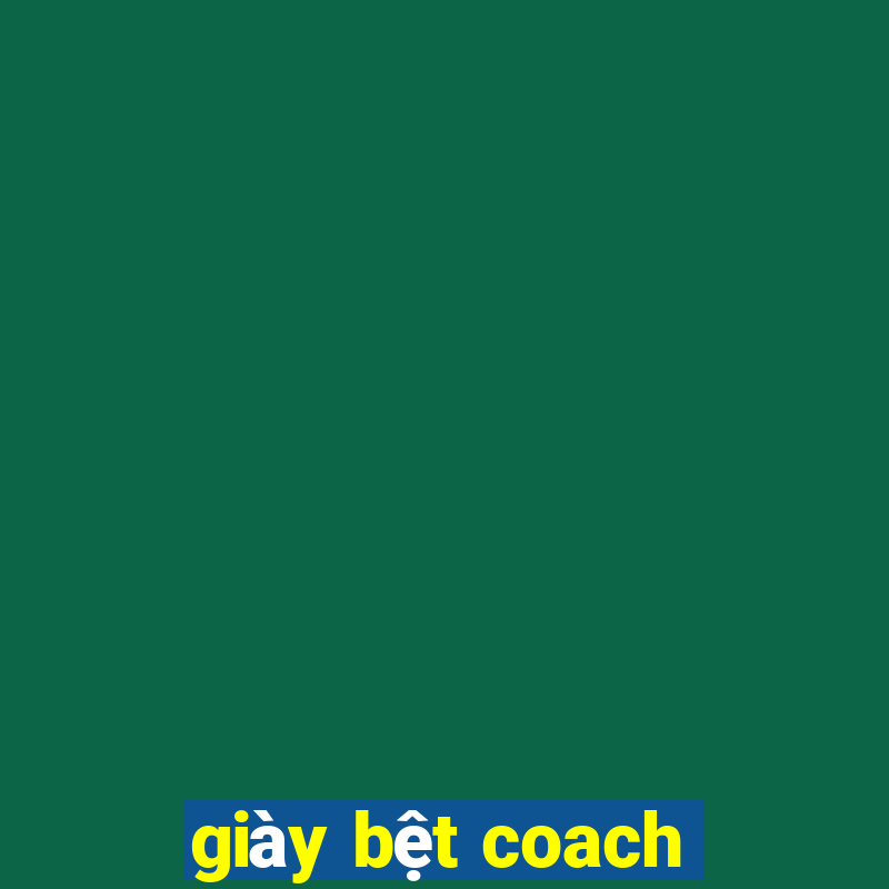 giày bệt coach