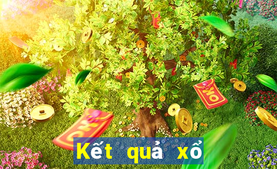 Kết quả xổ số Bình Định thứ tư