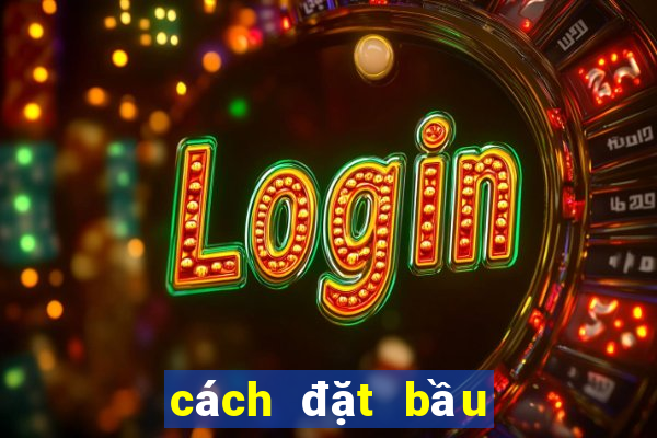 cách đặt bầu cua ngoài đời