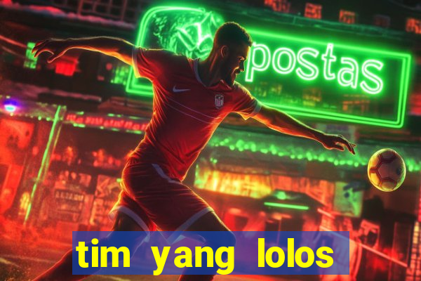 tim yang lolos euro 2024