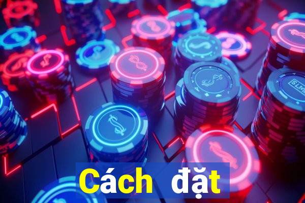 Cách đặt cược XSCM ngày 8