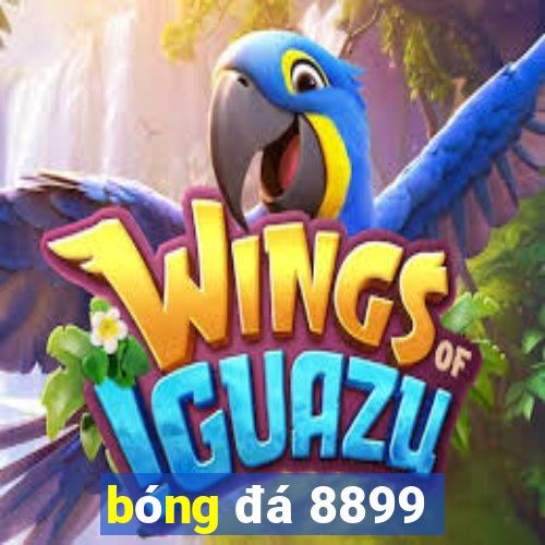 bóng đá 8899