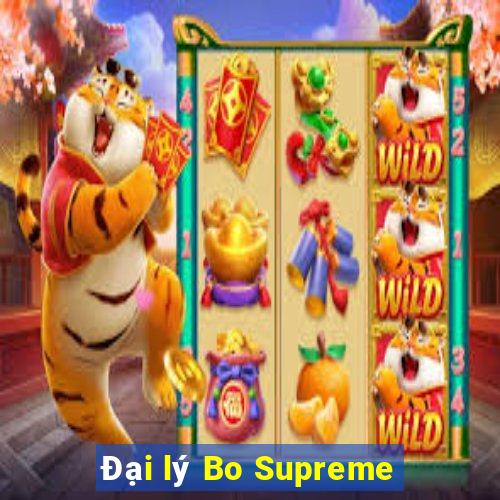 Đại lý Bo Supreme