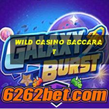 wild casino baccarat