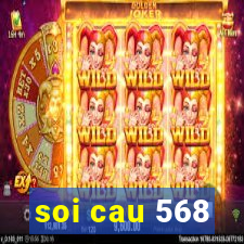 soi cau 568