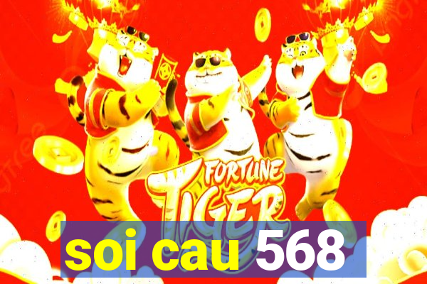 soi cau 568