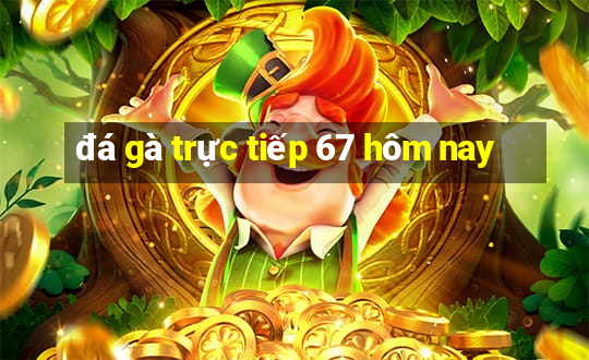 đá gà trực tiếp 67 hôm nay