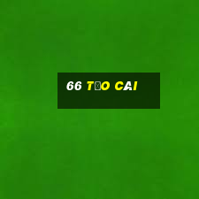 66 Tảo Cái