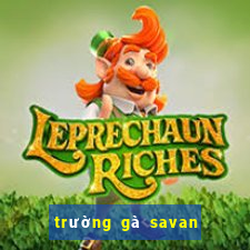 trường gà savan trực tiếp hôm nay