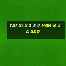 tài xỉu 2 3 4 nghĩa là sao