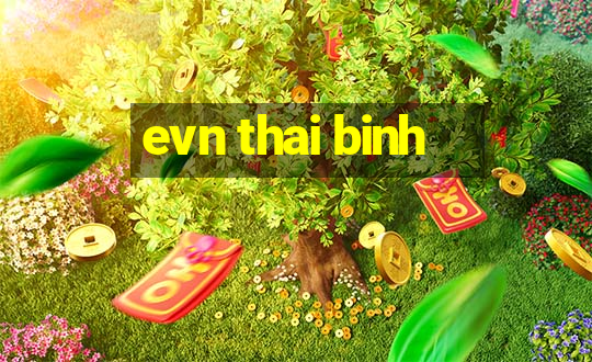 evn thai binh