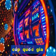 cúp quốc gia trung quốc