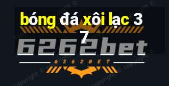 bóng đá xôi lạc 37