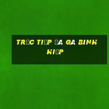 trực tiếp đá gà bình hiệp