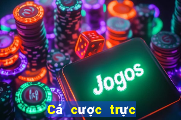 Cá cược trực tuyến d9bet