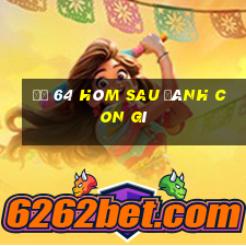 đề 64 hôm sau đánh con gì