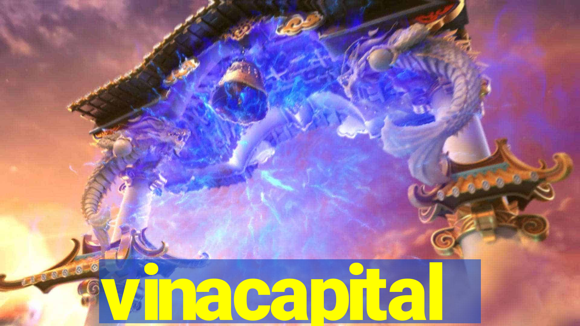 vinacapital