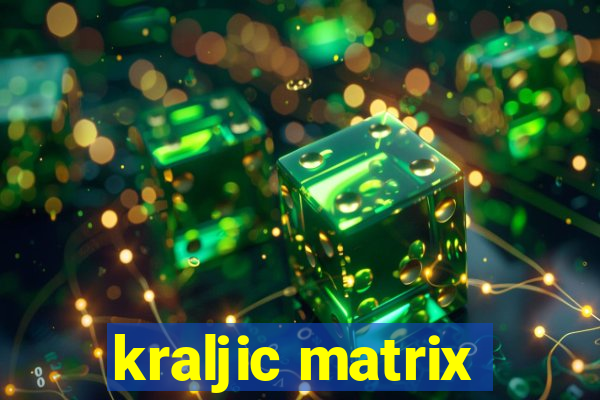 kraljic matrix