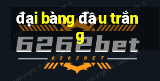 đại bàng đầu trắng