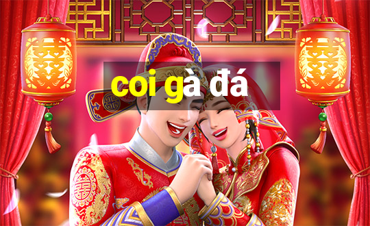 coi gà đá