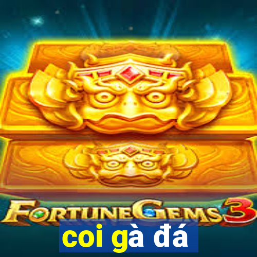 coi gà đá