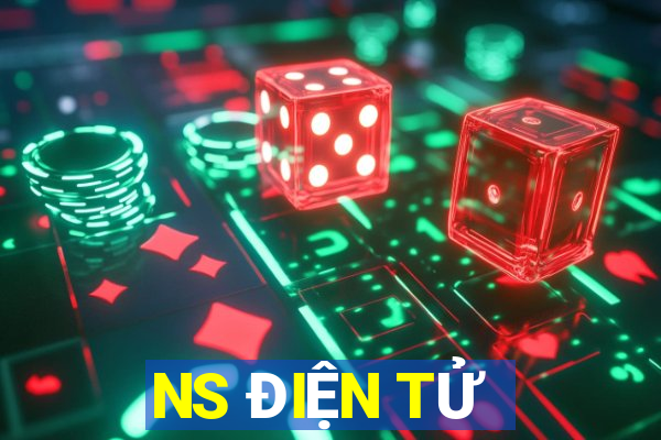 NS ĐIỆN TỬ