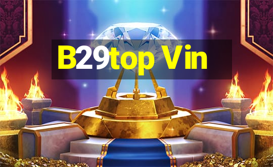 B29top Vin