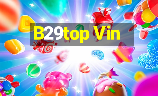 B29top Vin