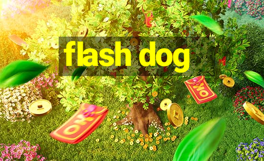 flash dog