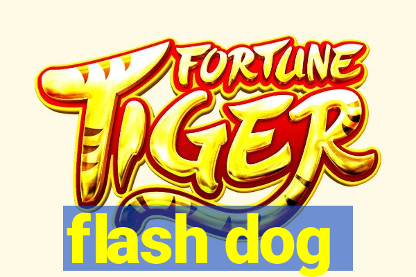 flash dog