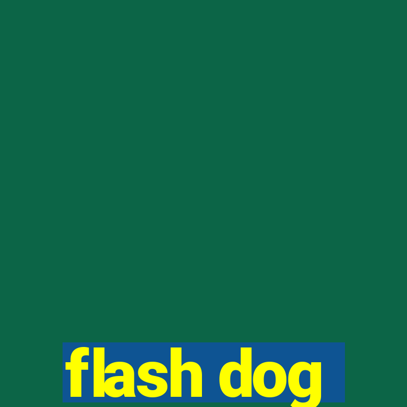 flash dog