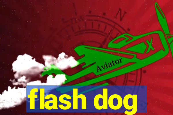 flash dog